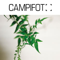 CAMPIFOTO